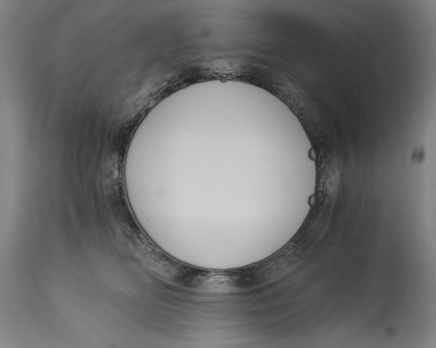 X0000115080518200911171157
