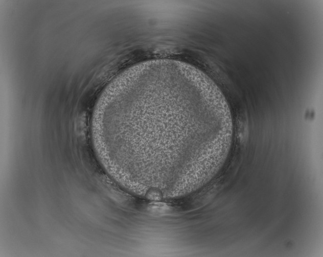 X0000115080519200911171157