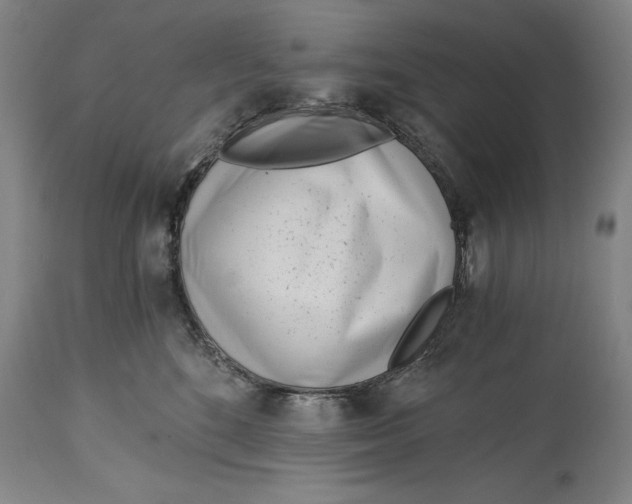 X0000115080520200911171157