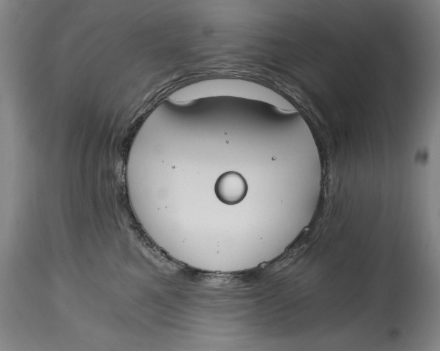 X0000115080521200911171157