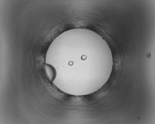 X0000115080523200911171157