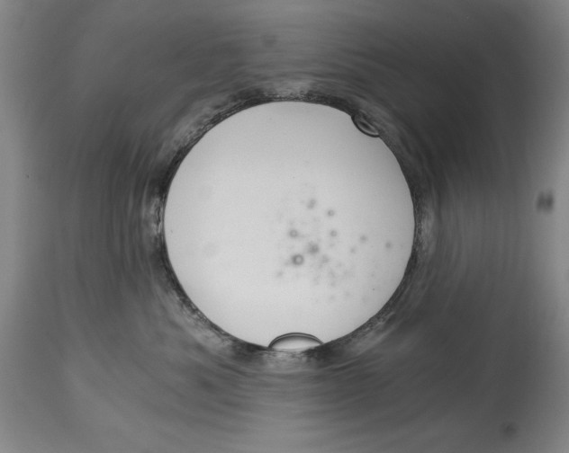 X0000115080525200911171157