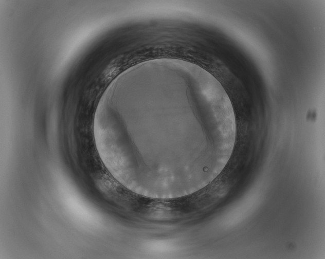 X0000115080526200911171157