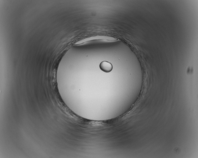 X0000115080528200911171157