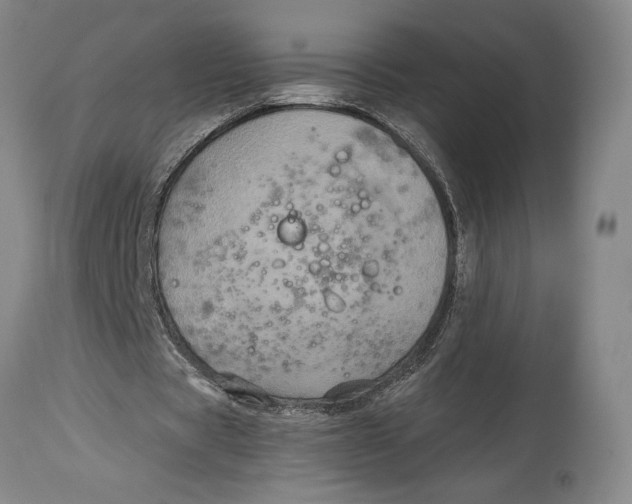 X0000115080529200911171156
