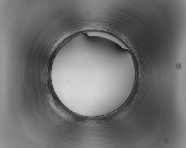 X0000115080530200911171156
