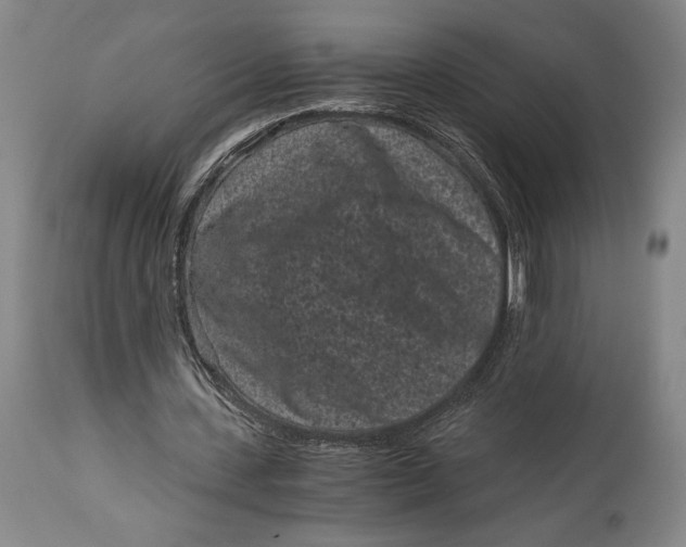 X0000115080531200911171156
