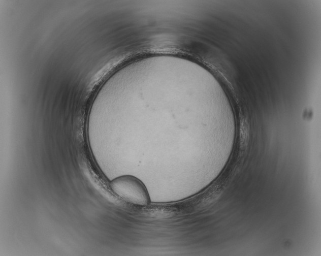 X0000115080533200911171156