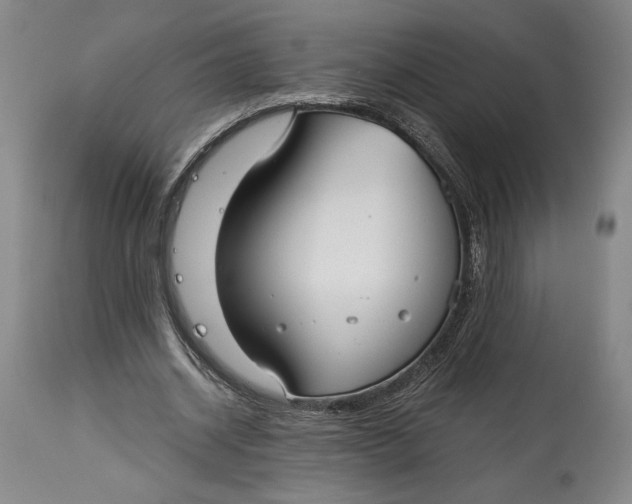 X0000115080534200911171156