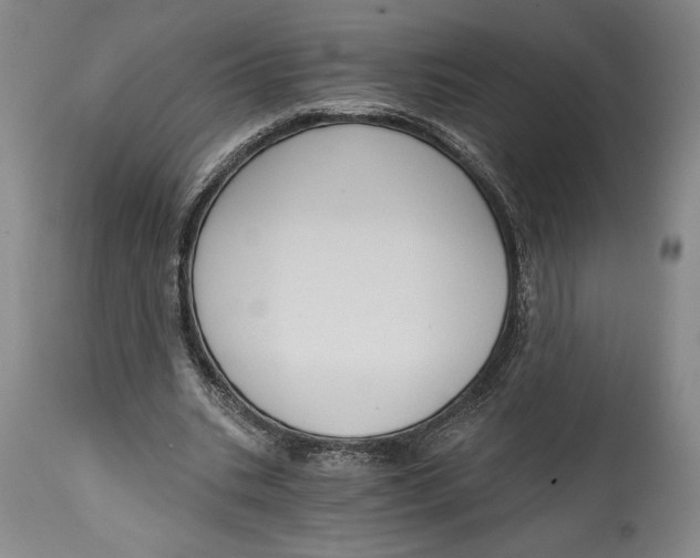 X0000115080535200911171156