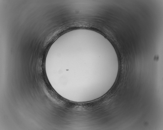 X0000115080538200911171156
