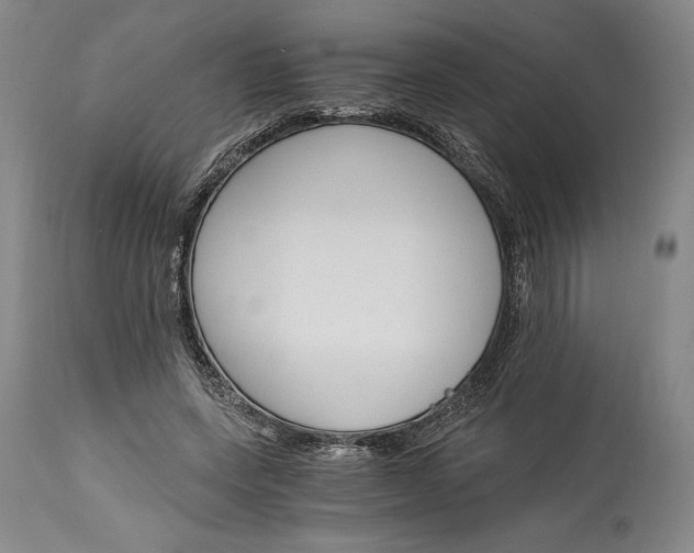X0000115080543200911171156