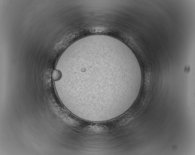 X0000115080545200911171156