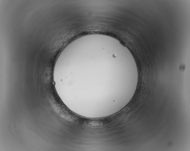 X0000115080546200911171156