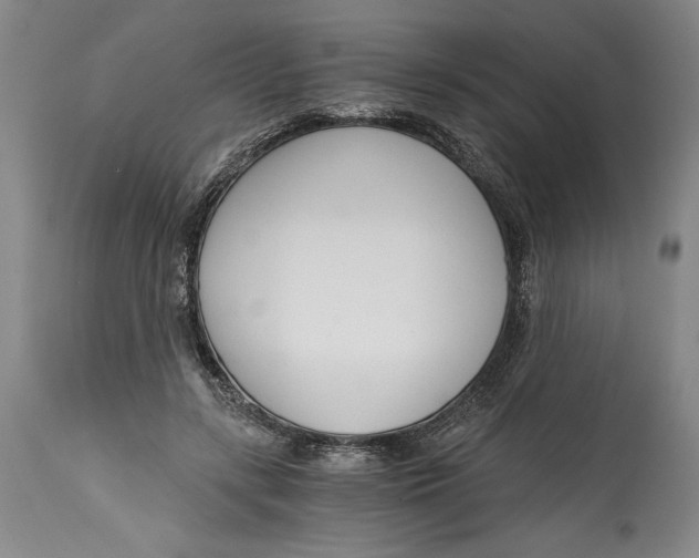 X0000115080547200911171156