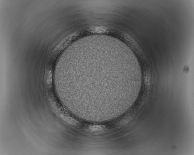 X0000115080549200911171156