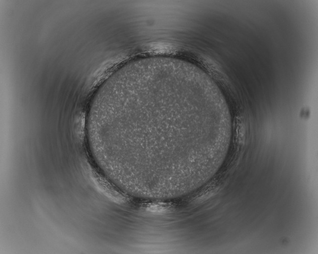 X0000115080550200911171156
