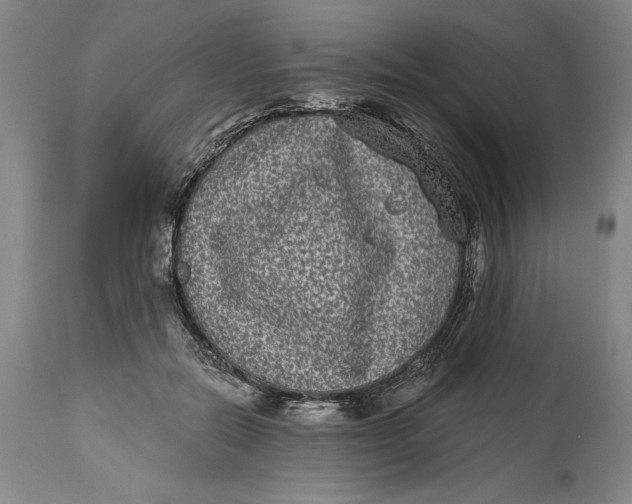 X0000115080554200911171156