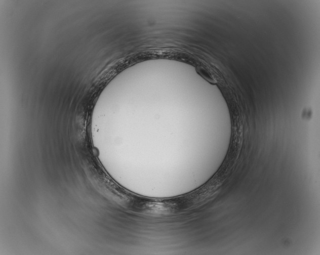 X0000115080558200911171156