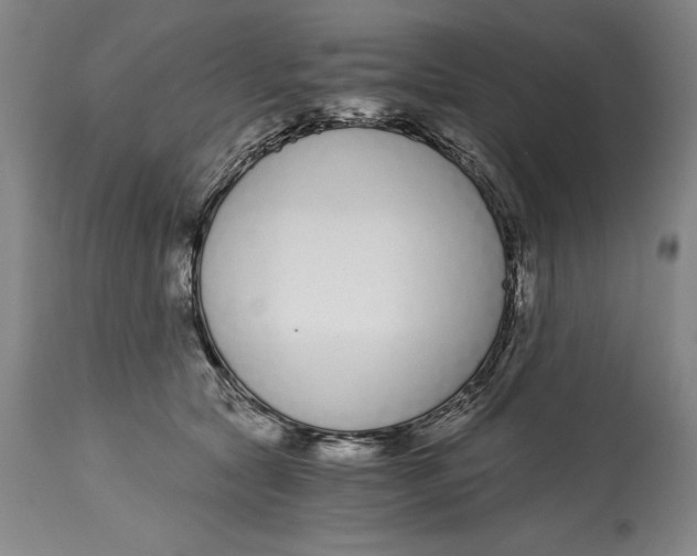 X0000115080561200911171156