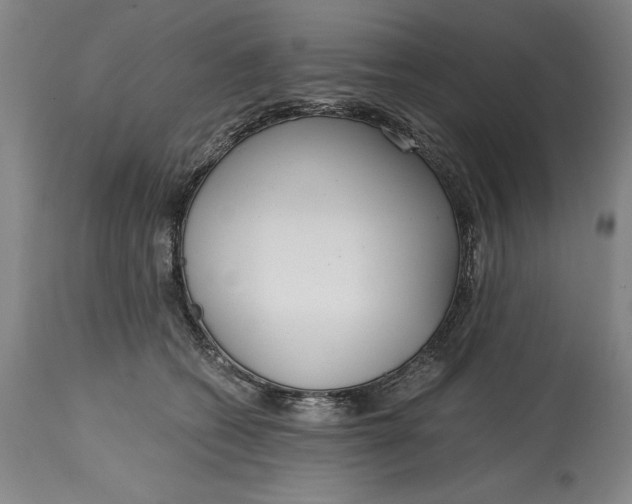 X0000115080562200911171156