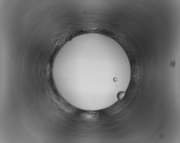 X0000115080563200911171156