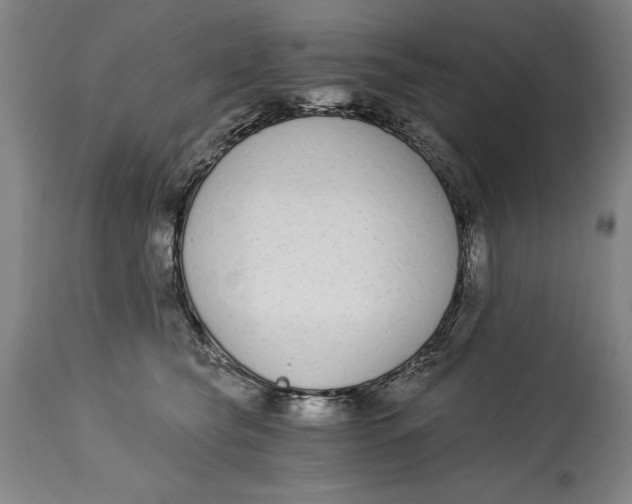 X0000115080565200911171156