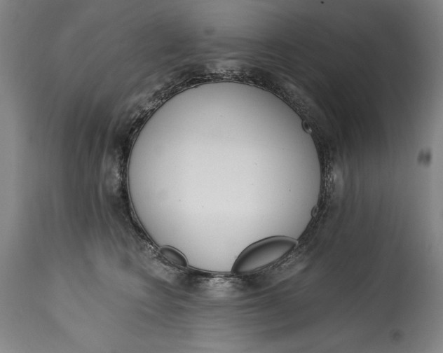X0000115080566200911171156
