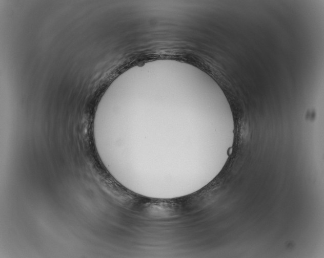 X0000115080567200911171156