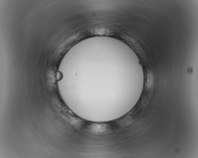 X0000115080569200911171156