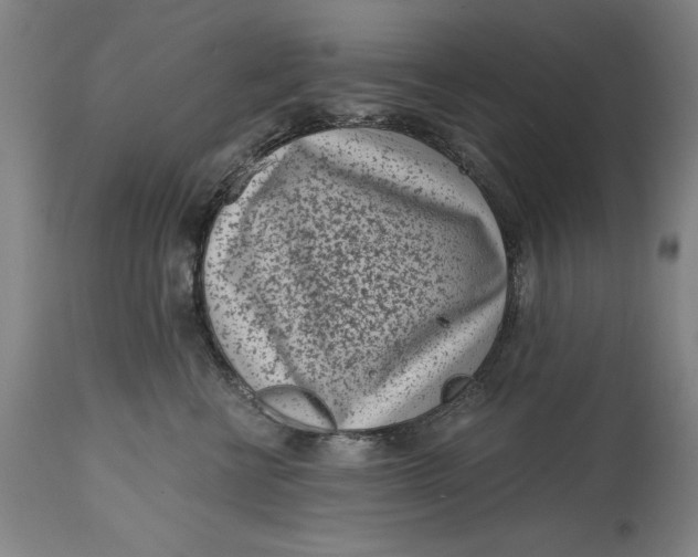 X0000115080570200911171157