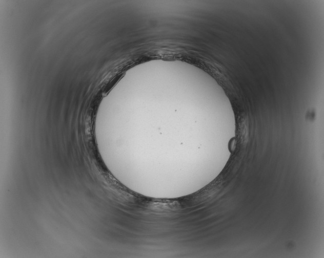 X0000115080571200911171157