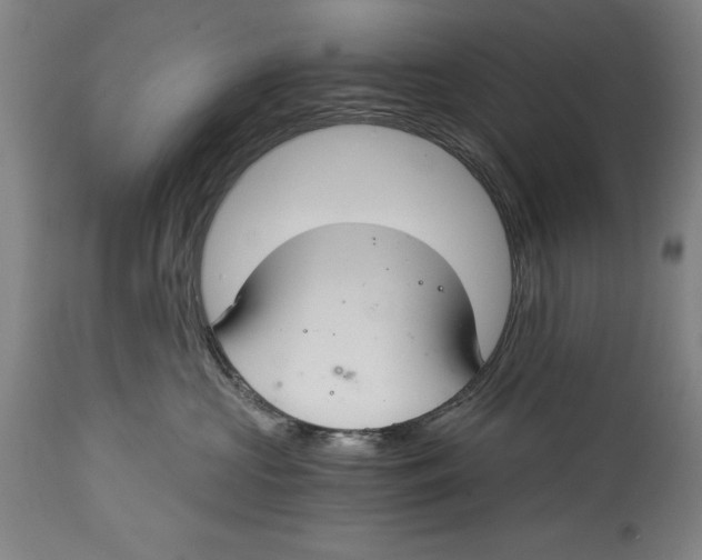 X0000115080573200911171157