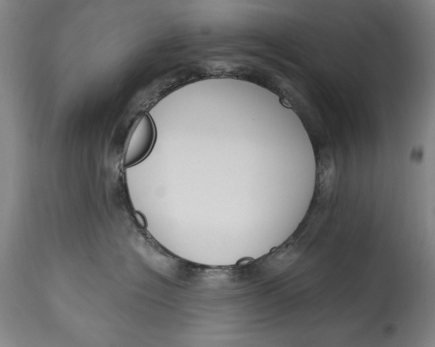 X0000115080574200911171157
