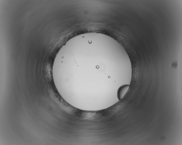 X0000115080575200911171157