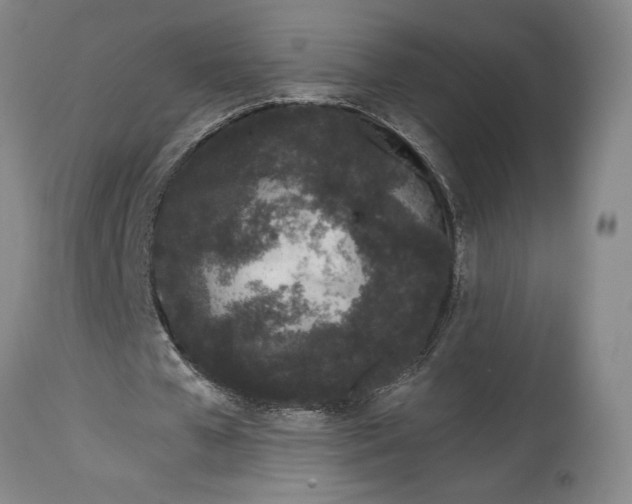 X0000115080577200911171156