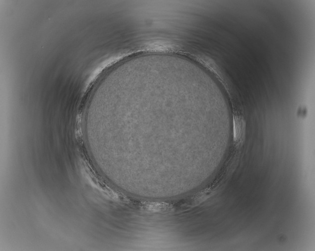 X0000115080579200911171156