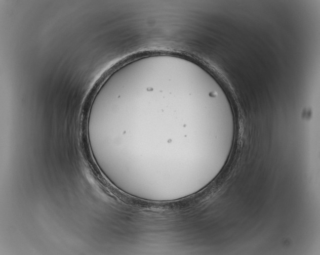 X0000115080580200911171156