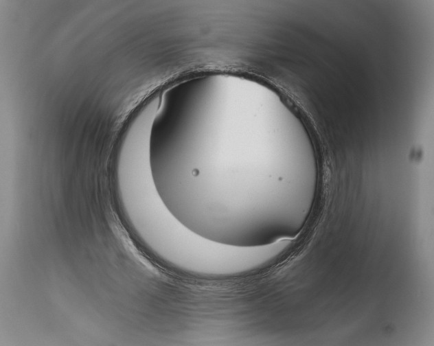X0000115080581200911171156