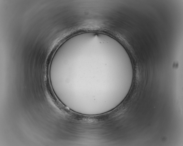 X0000115080582200911171156