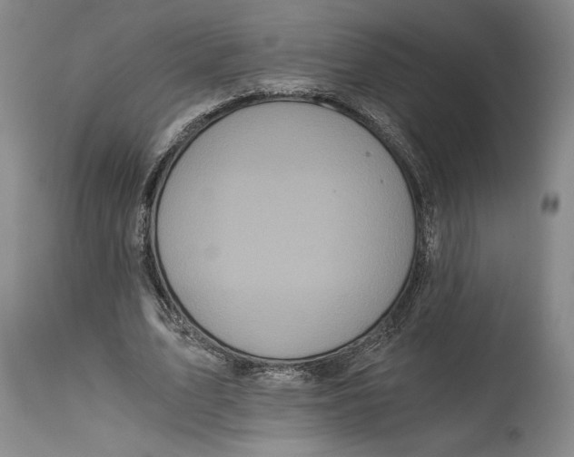 X0000115080583200911171156