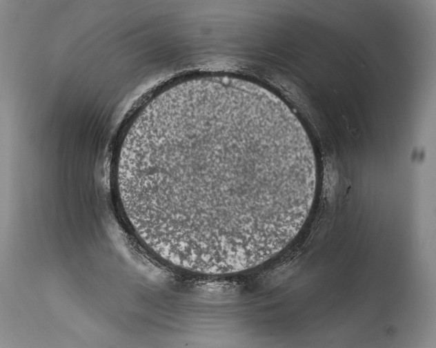 X0000115080584200911171156