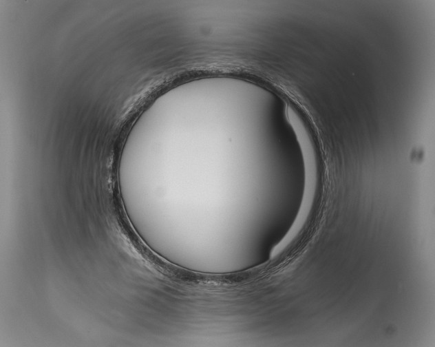 X0000115080585200911171156