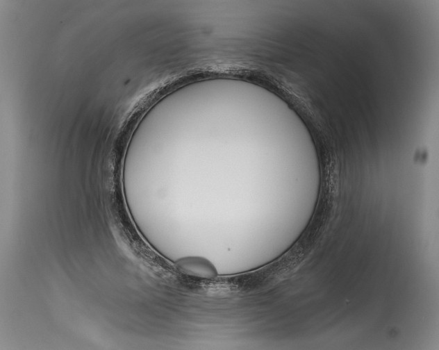 X0000115080587200911171156