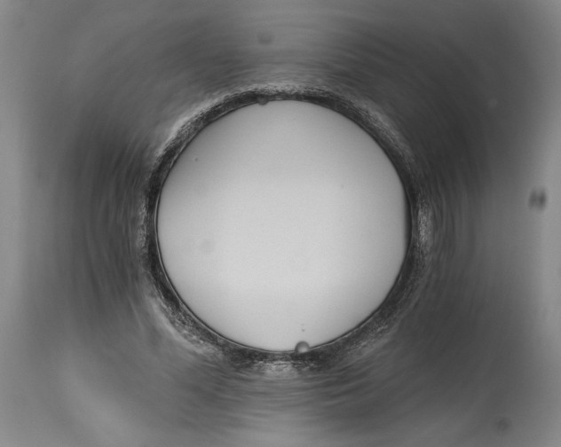 X0000115080588200911171156