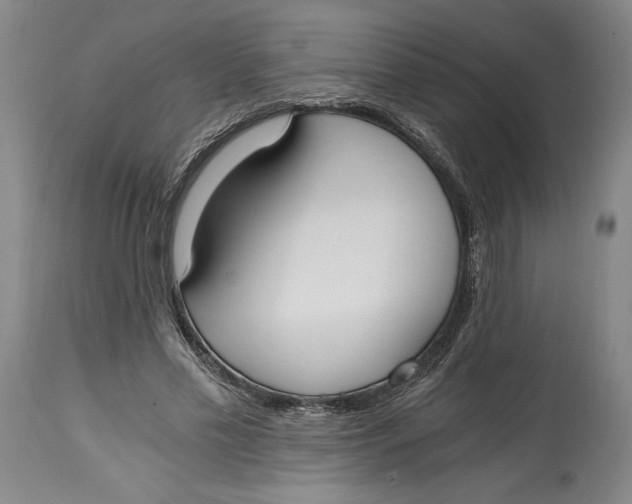 X0000115080589200911171156