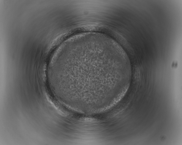 X0000115080590200911171156