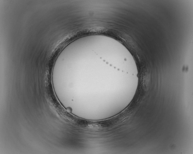 X0000115080591200911171156