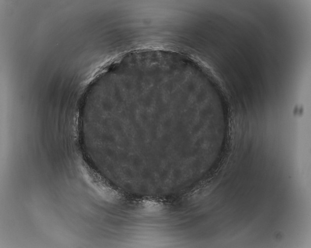 X0000115080592200911171156
