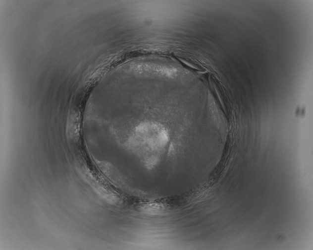 X0000115080593200911171156